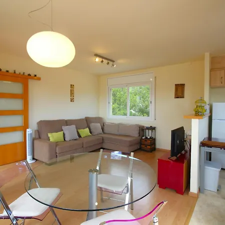 Appartement Guillem De Berguedà - àtico En La Zona De Grifeu Con Gran Terraza Y Vistas Al Mar. - Es-228-61