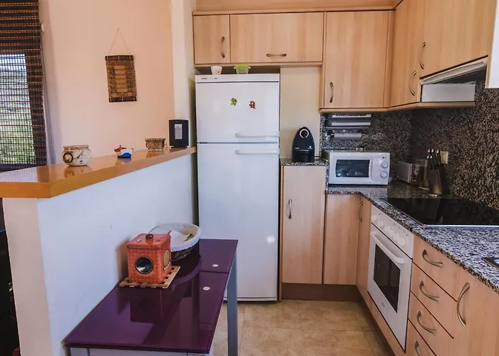 Guillem De Berguedà - àtico En La Zona De Grifeu Con Gran Terraza Y Vistas Al Mar. - Es-228-61 Appartement